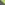 Primary Raster logo